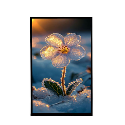 acheter 10Écran IPS de portrait de 1 pouce avec une résolution de 800 x 1280 Tft écran LCD pour voiture online manufacture