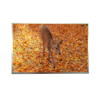 8' IPS FHD LVDS TFT Affichage 1000cd Luminosité 1920*1200 Résolution