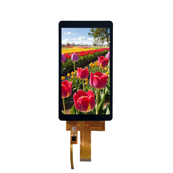 Module LCD TFT LCD de 5,5 pouces avec CTP 390cd/m2 Lumiance 1080x1920 Résolution 1